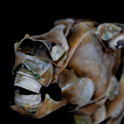 MTM.2018.0156.0304 MTM.2018.0156.0304